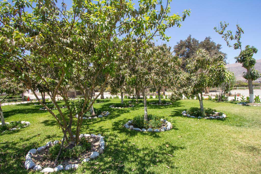 Hotel Fundo San Rafael Νάζκα Εξωτερικό φωτογραφία